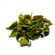 Melissa (lemon balm) 50g AVRAMOGLOU