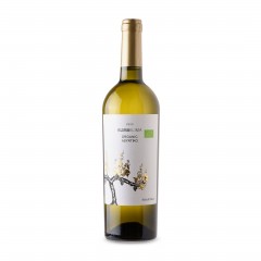 Klima Klima IGP bio, vin blanc grec sec 75cl TSANTALIS